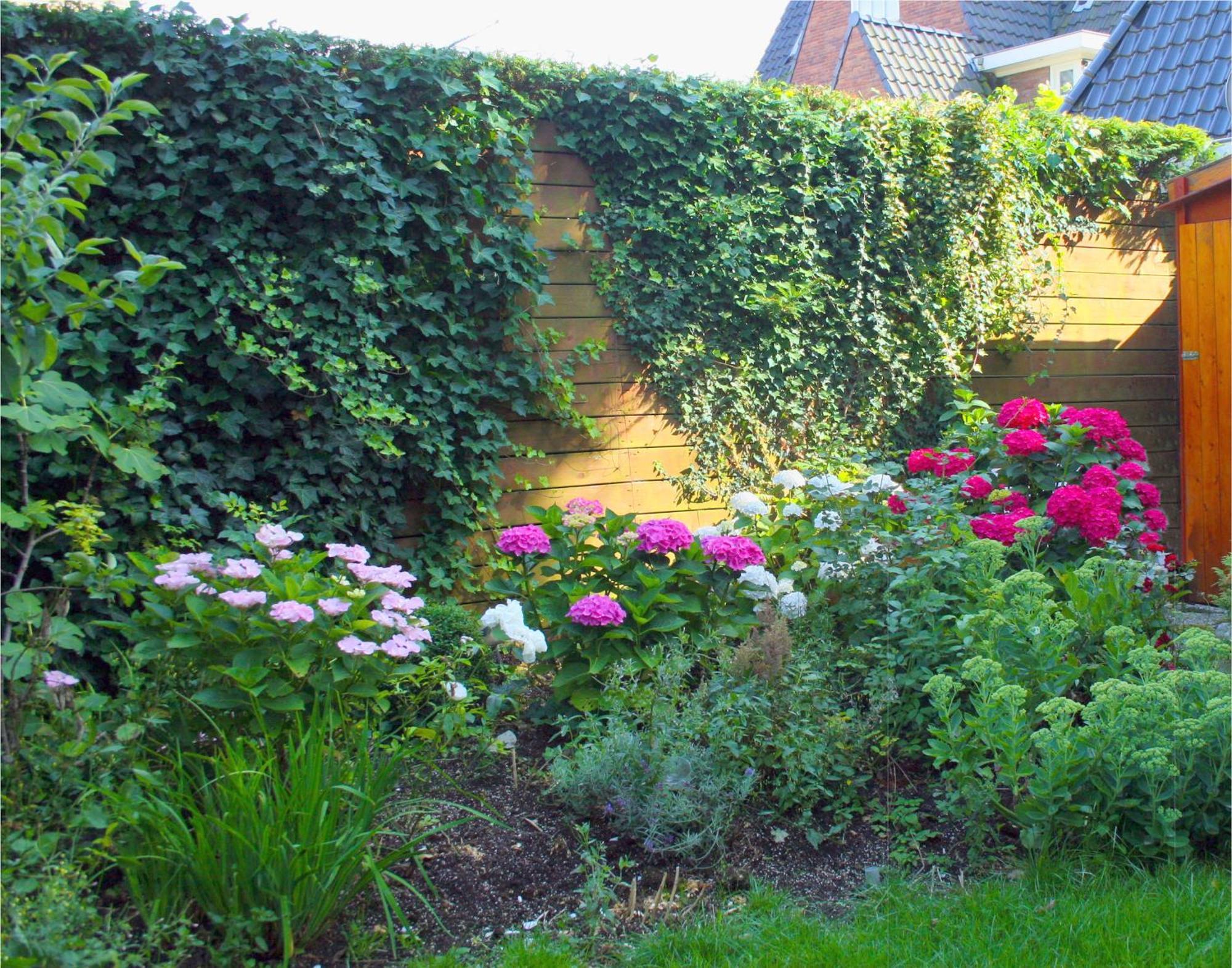 Bed & Breakfast Xaviera's Amsterdam