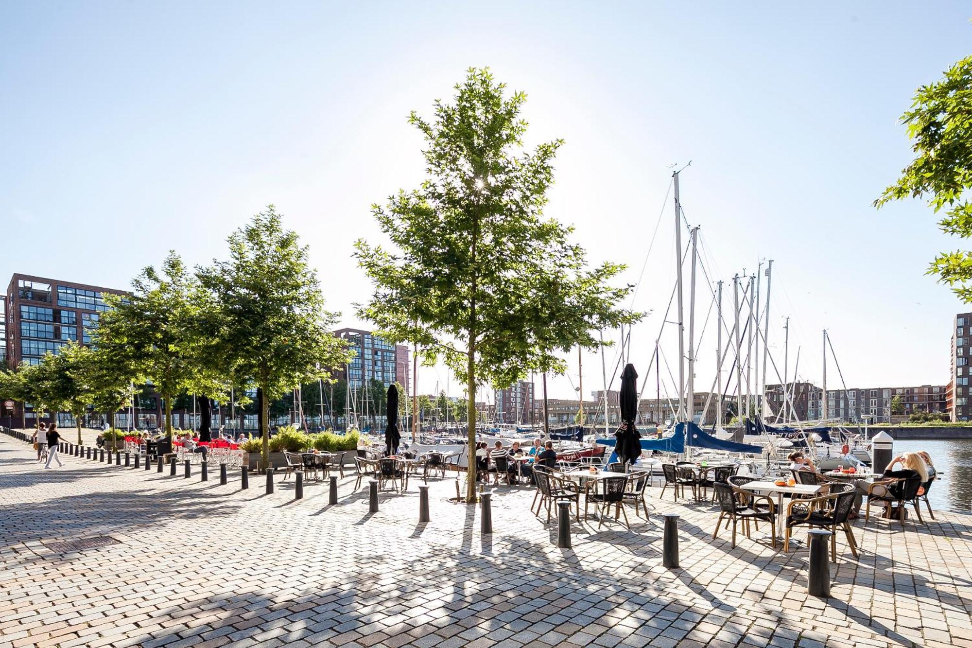 Bed & Breakfast Rieteiland Amsterdam