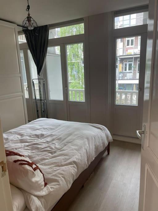 Appartement Charming And Cozy Apartment! *