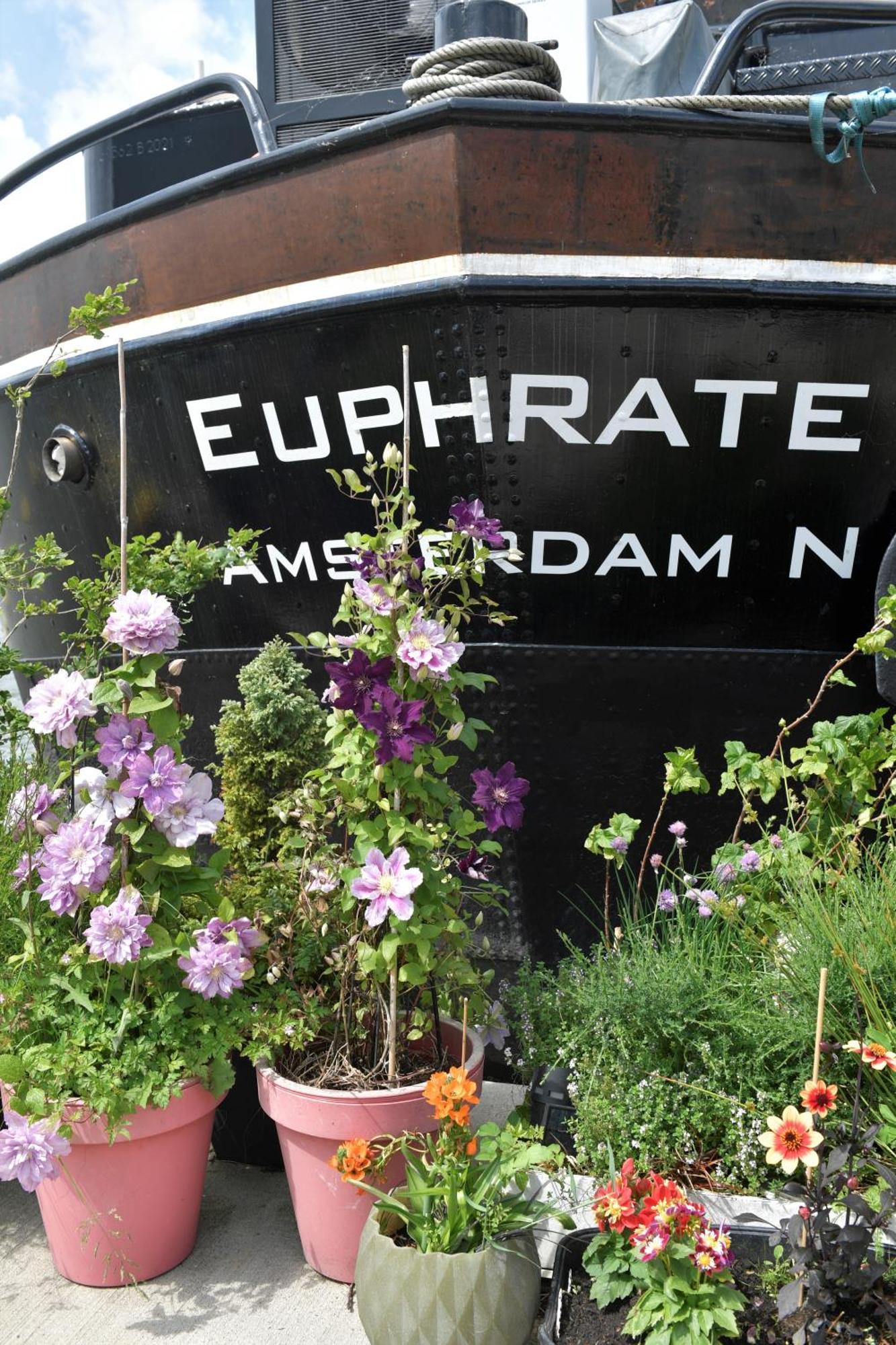 Wheelhouse Euphrate Houseboat Frühstückspension Diemerbrug