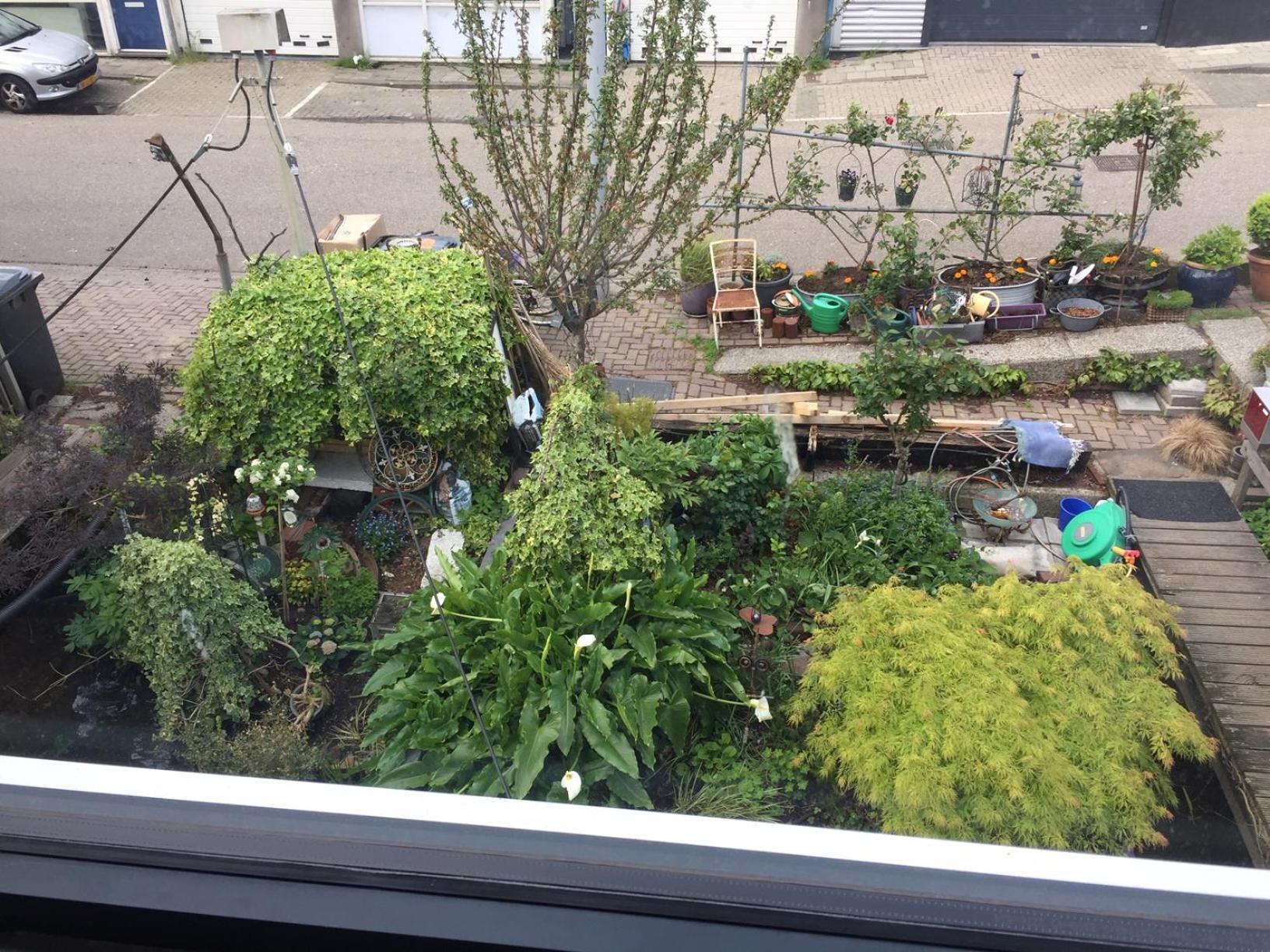 Reiwa Bed & Breakfast