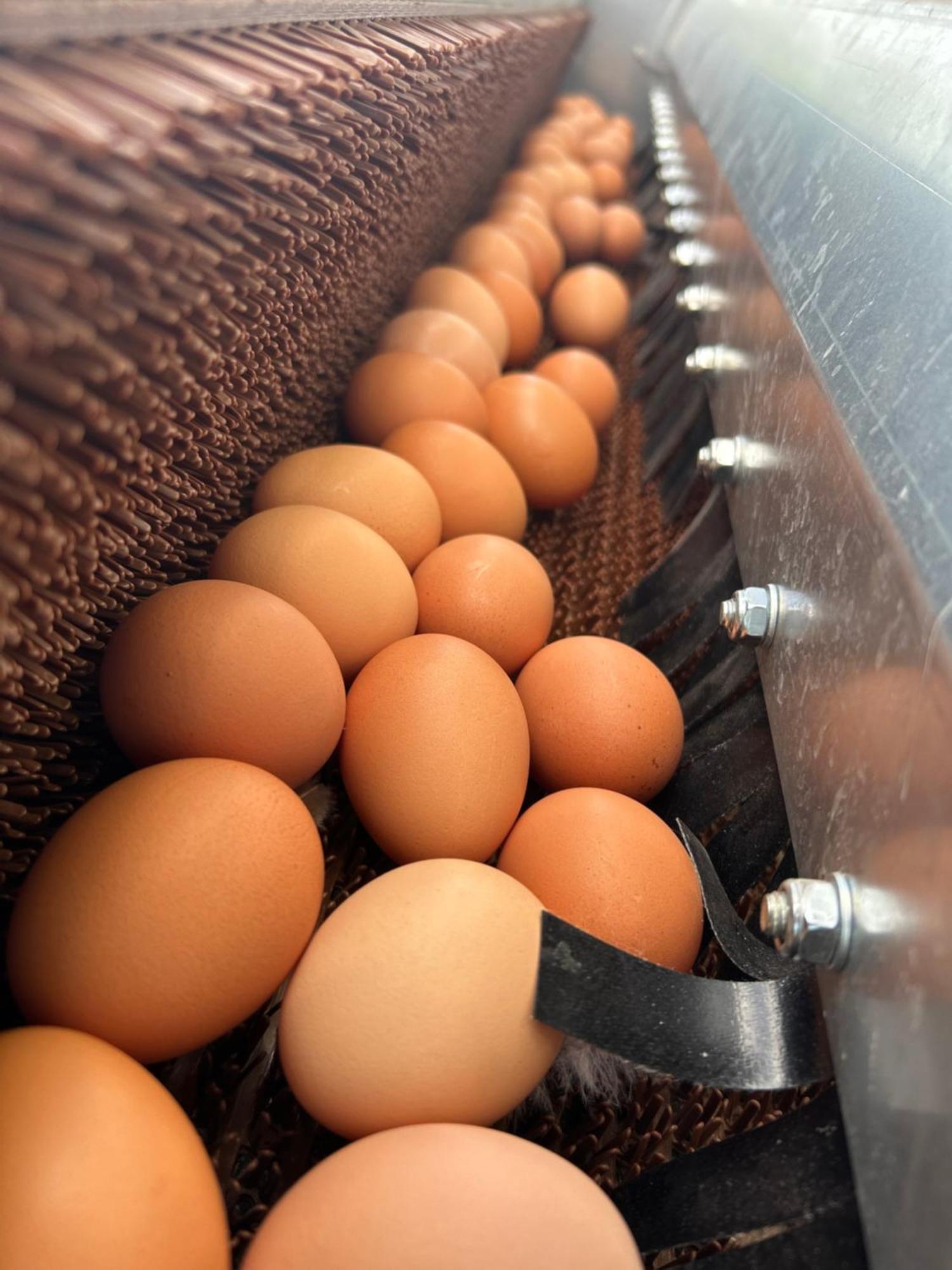 Frühstückspension Zunderdorp