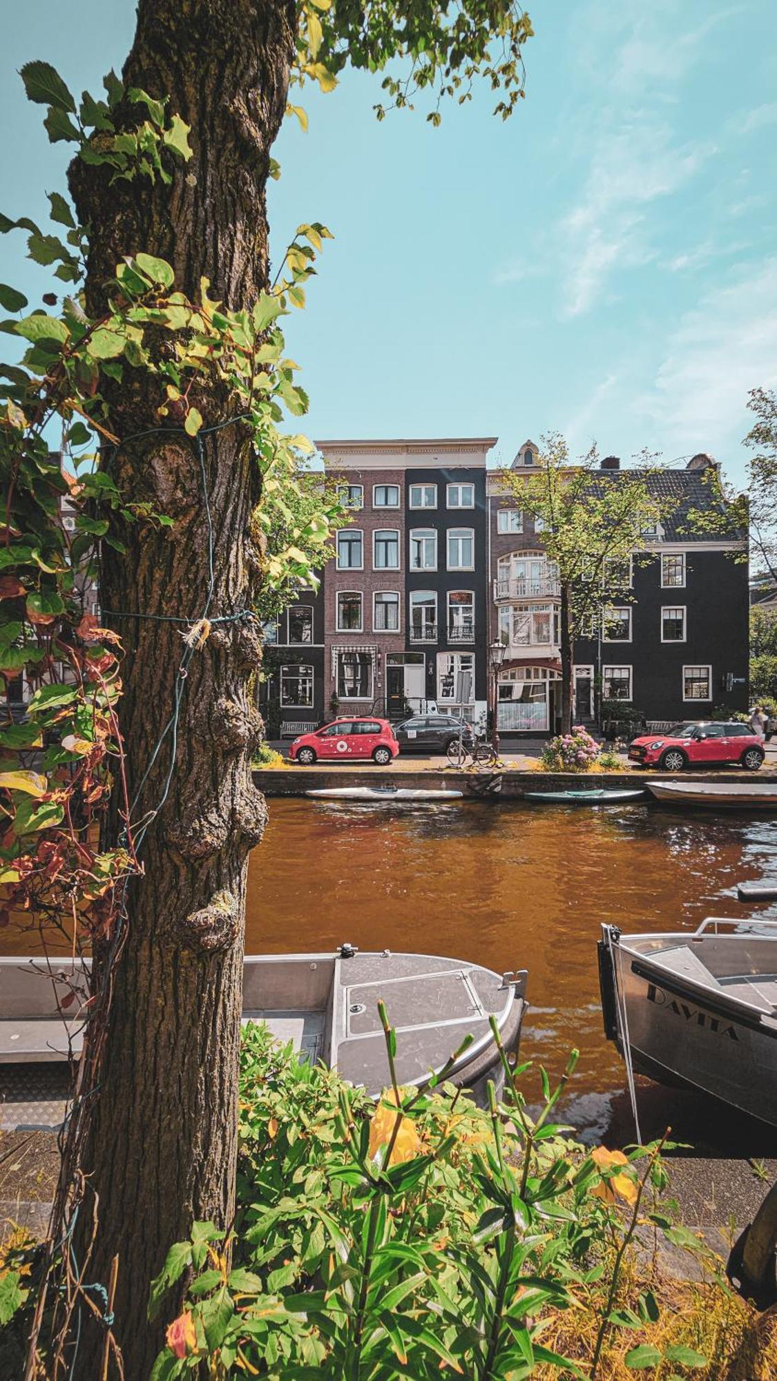 The White Wilde - In A Historic Canalhouse From 1799 Couette-café