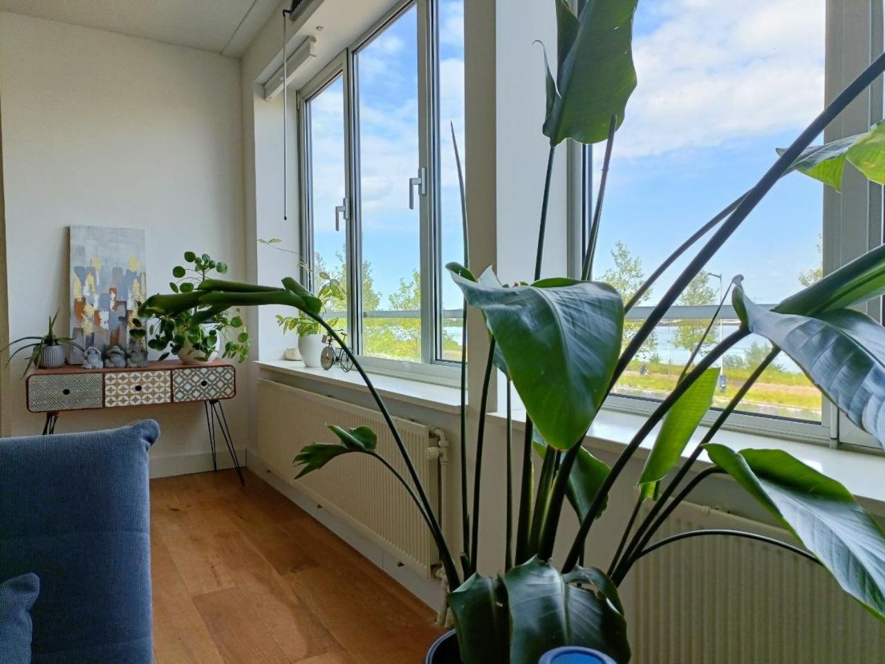 Appartement Spacious 12 Min To Center By Tram *