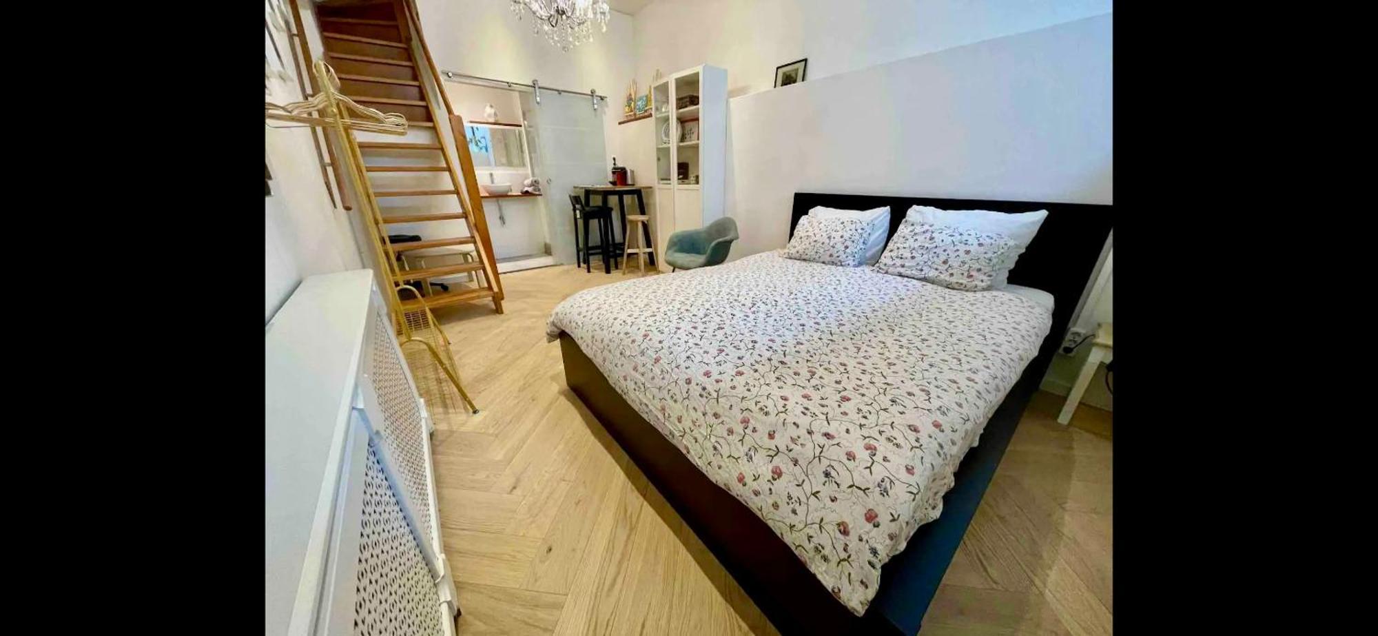 Bed & Breakfast With Private Bathroom Near Vondelpark