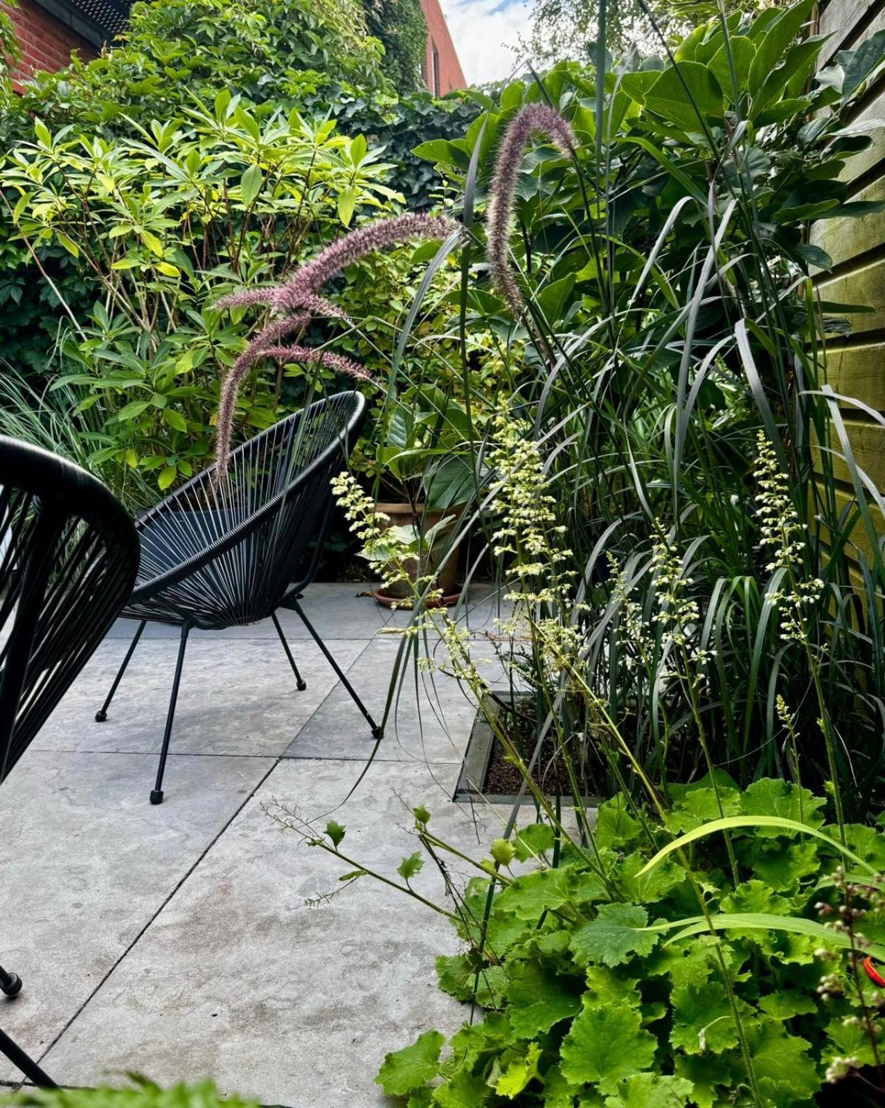 Frühstückspension Urban Oasis *