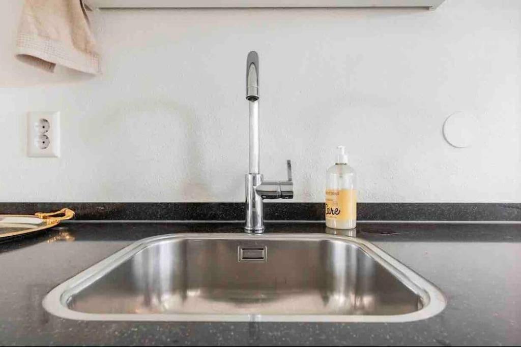 Appartement Large And Spacious 4-Bedroom Apartment With Roofterras Amsterdam