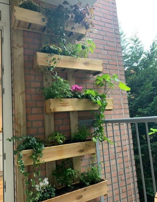 Leuk Gezellig In Het Levendige Oost * Amsterdam