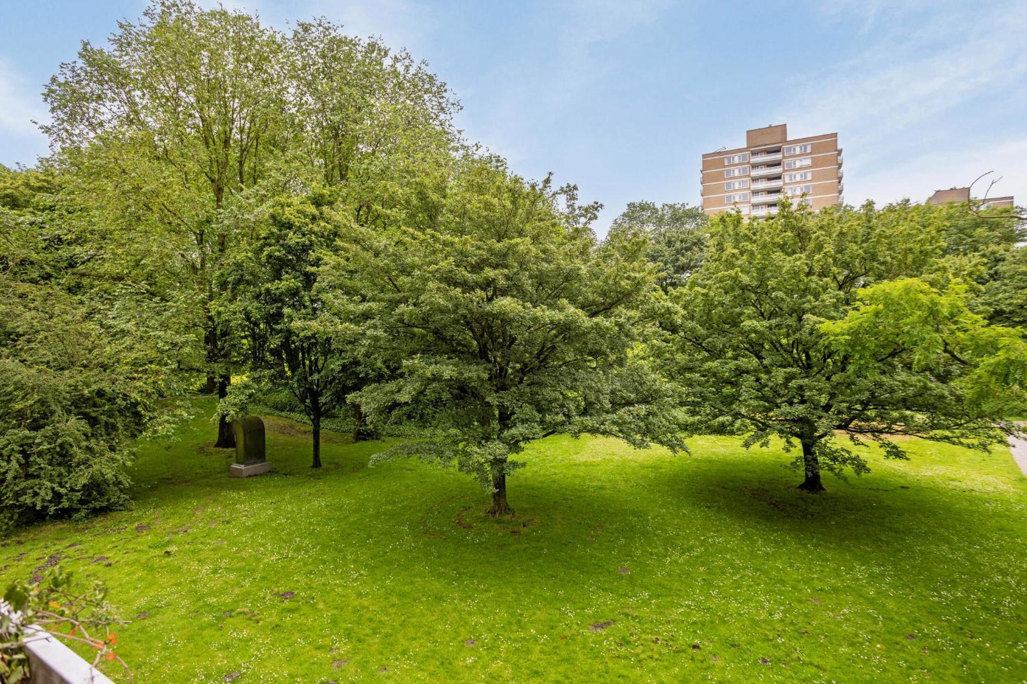 Cozy Retreat With Park Views And Free Parking Appartement