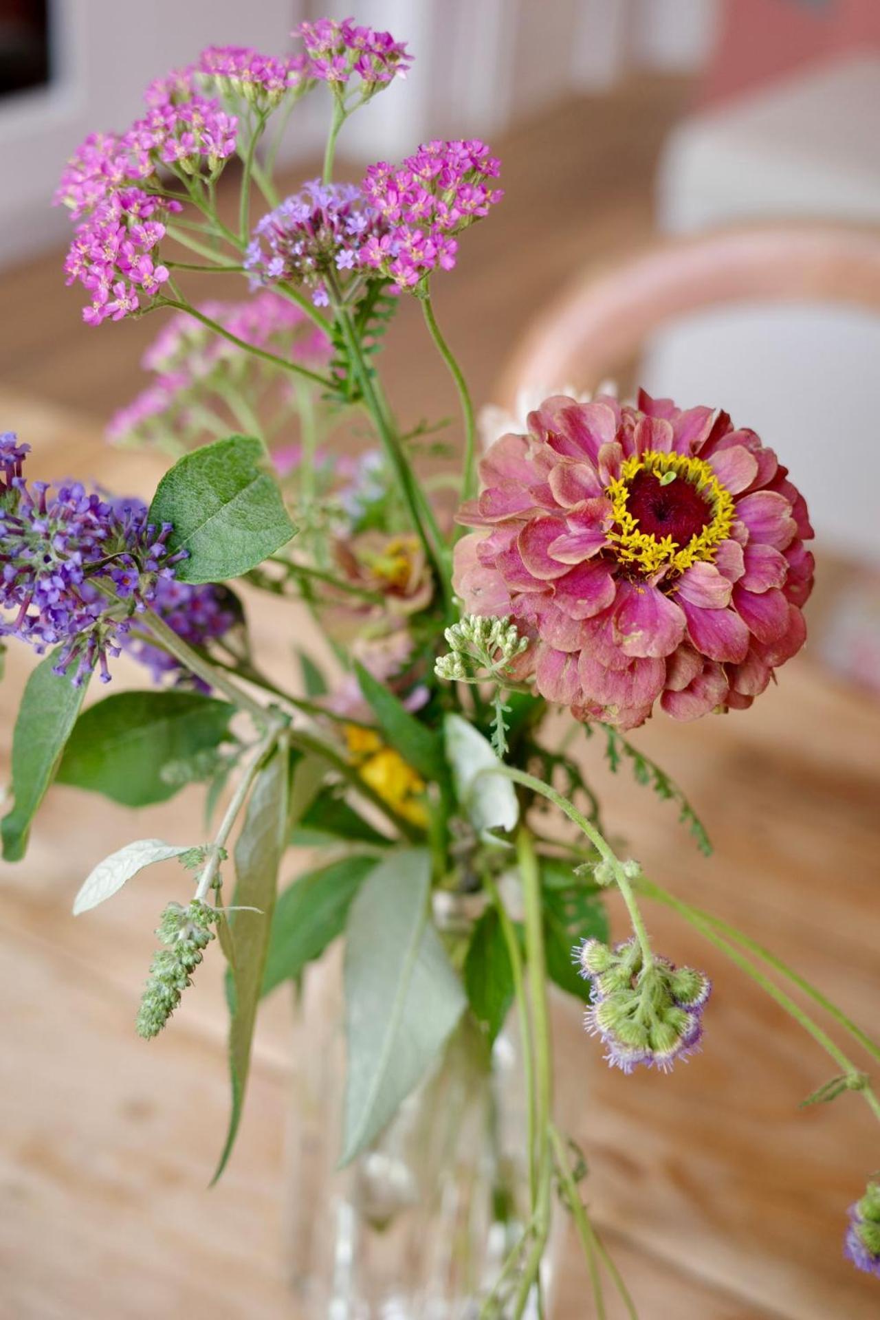 Colorful And Beautiful In The Jordaan! Appartement *