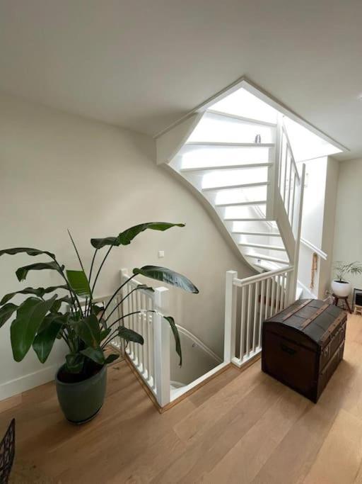 Spacious Apt In The Pijp Appartement