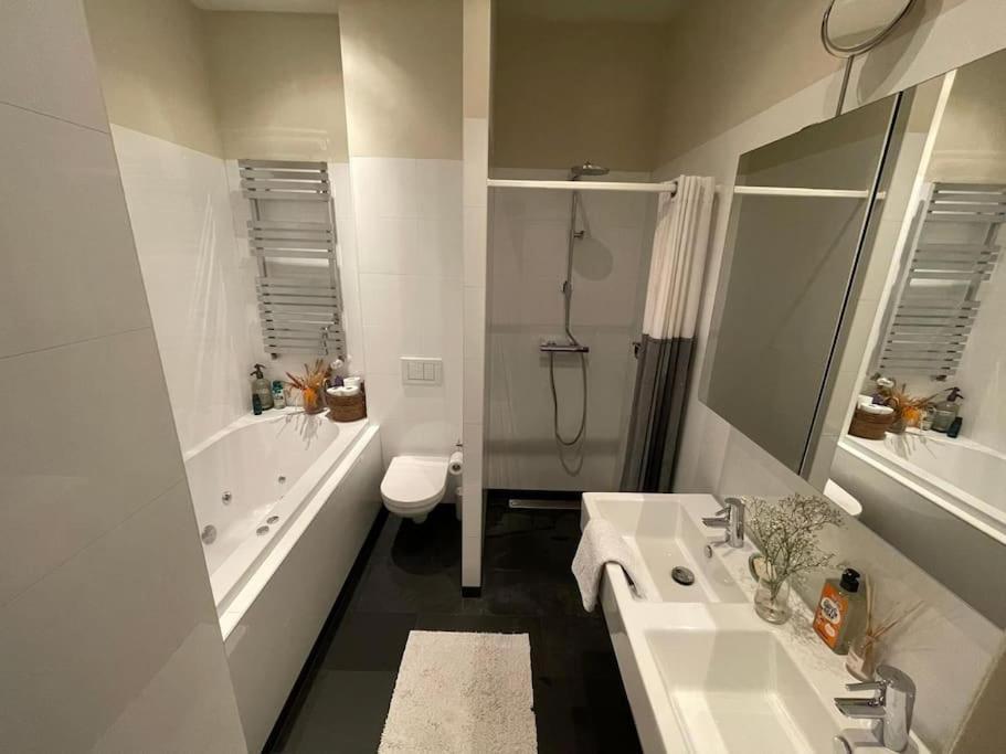 Appartement Spacious Apt In The Pijp Amsterdam