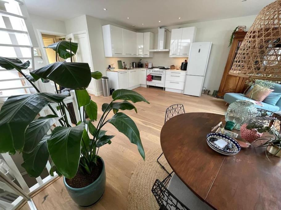 Spacious Apt In The Pijp Amsterdam