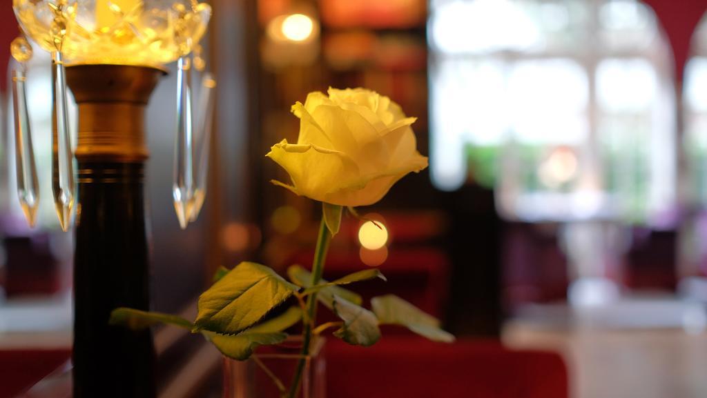 Hotel Apollofirst Boutique 4*