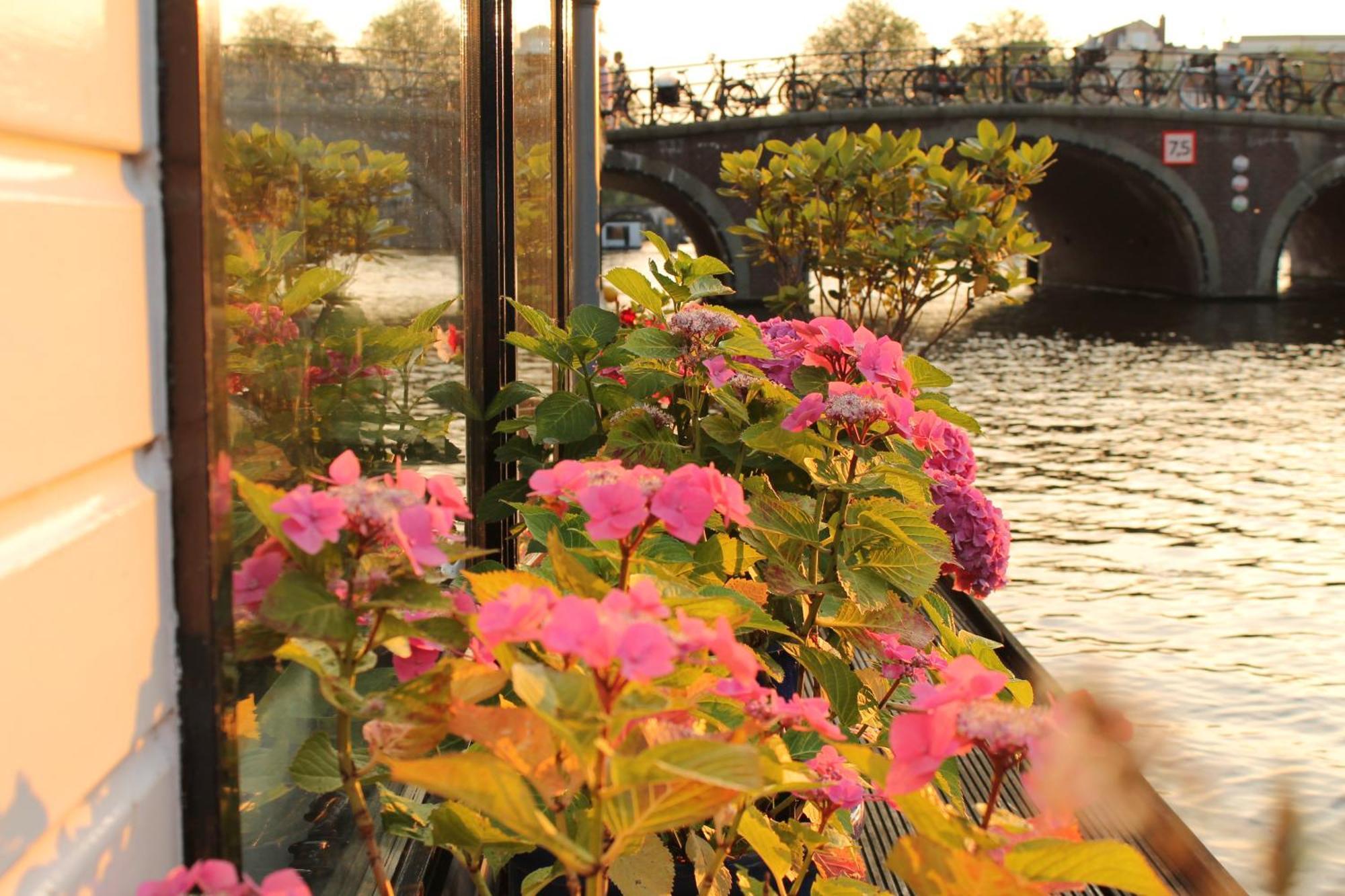Bed & Breakfast Houseboat Orpheus *