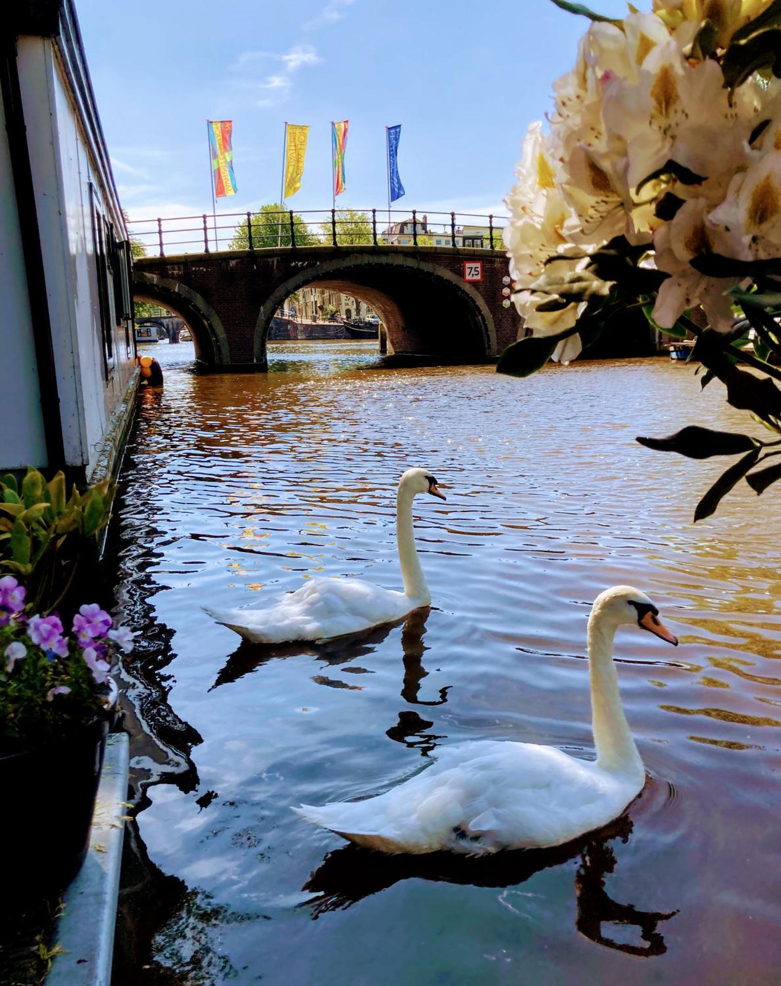 Houseboat Orpheus Bed & Breakfast Amsterdam