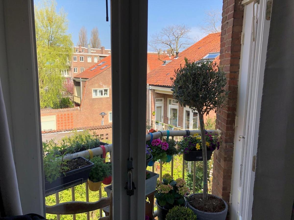 Appartement Beautiful Local In The Heart Of Amsterdam