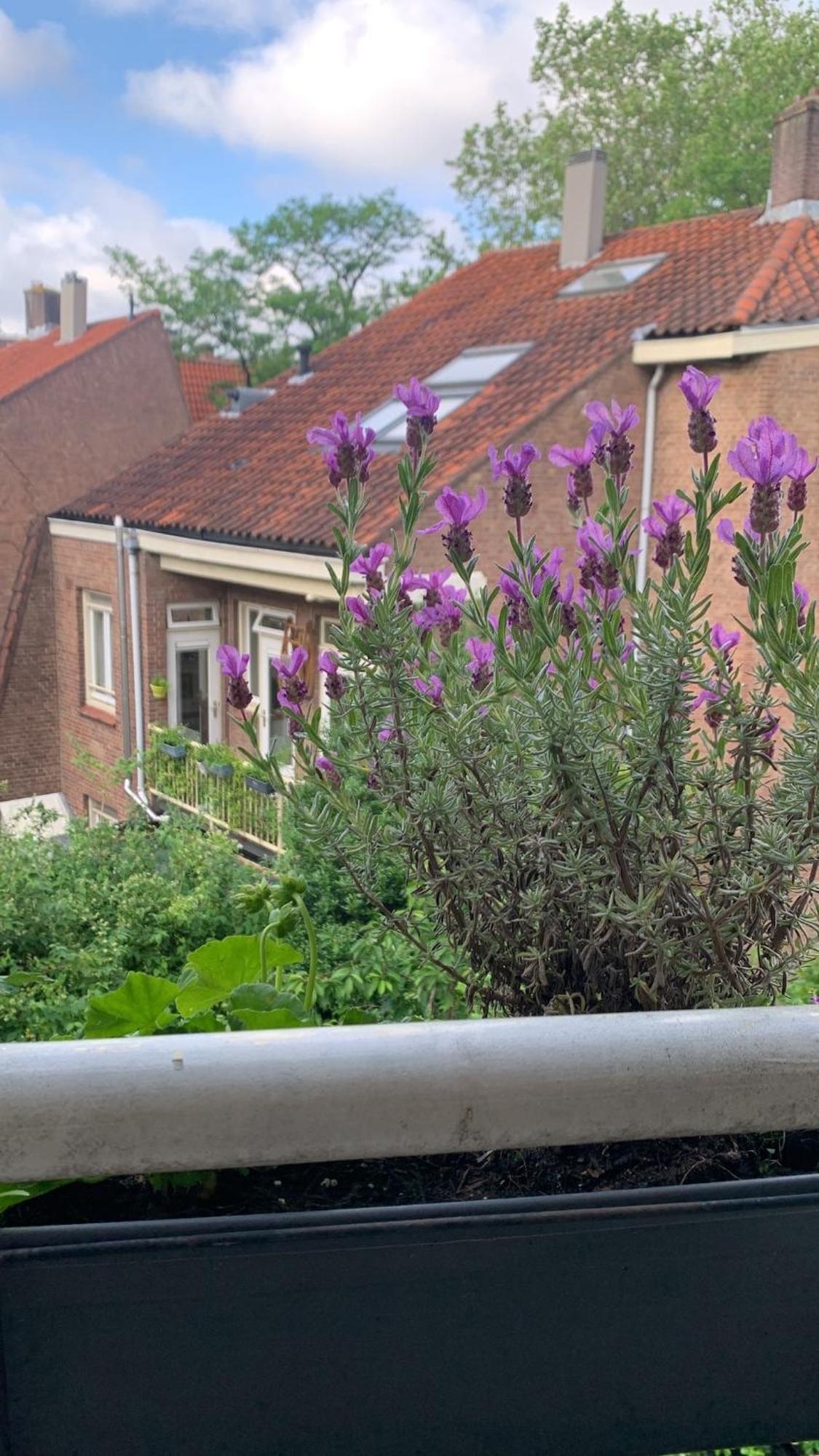 Beautiful Local In The Heart Of Appartement