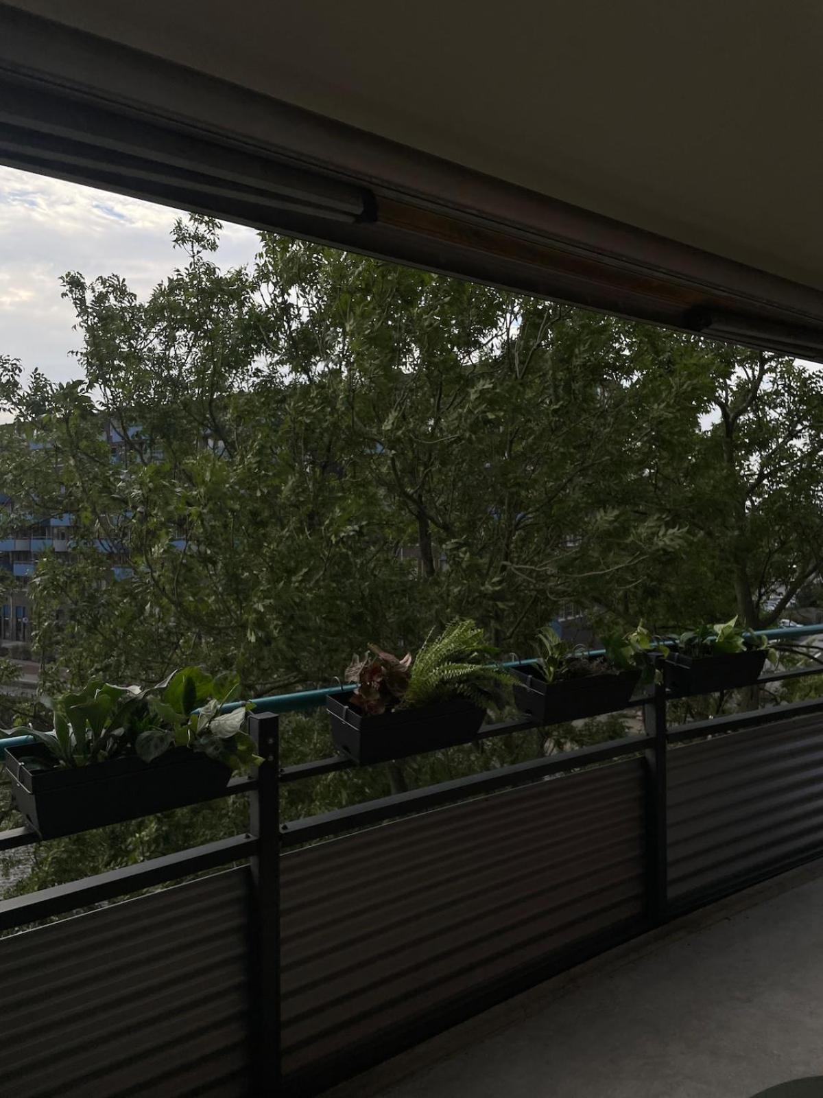 Large West With Balcony Appartement Amsterdam