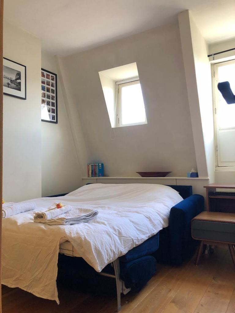 Spacious With Roofterrace By Vondelpark Amsterdam