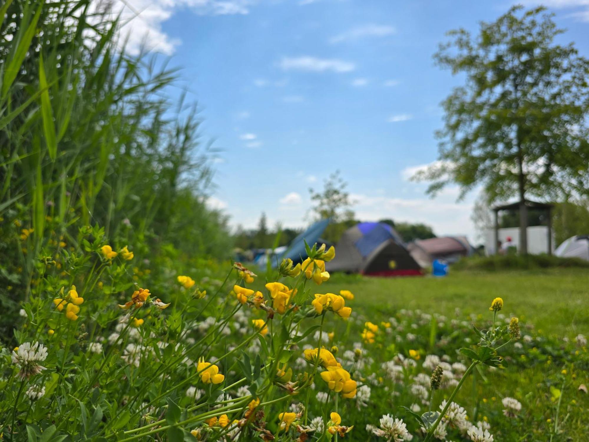Zeeburg Camping 3*
