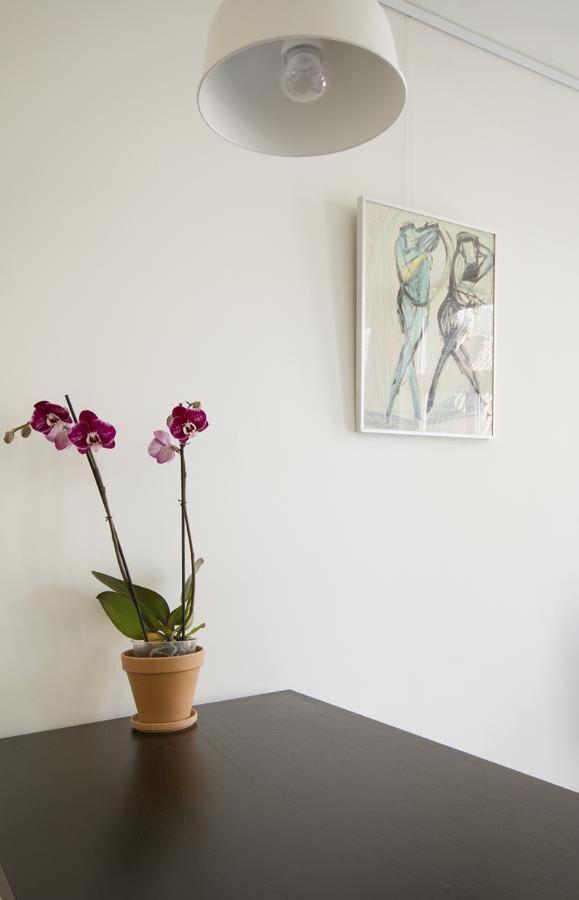 Ferienhaus Tweede Laurierdwarsstraat *