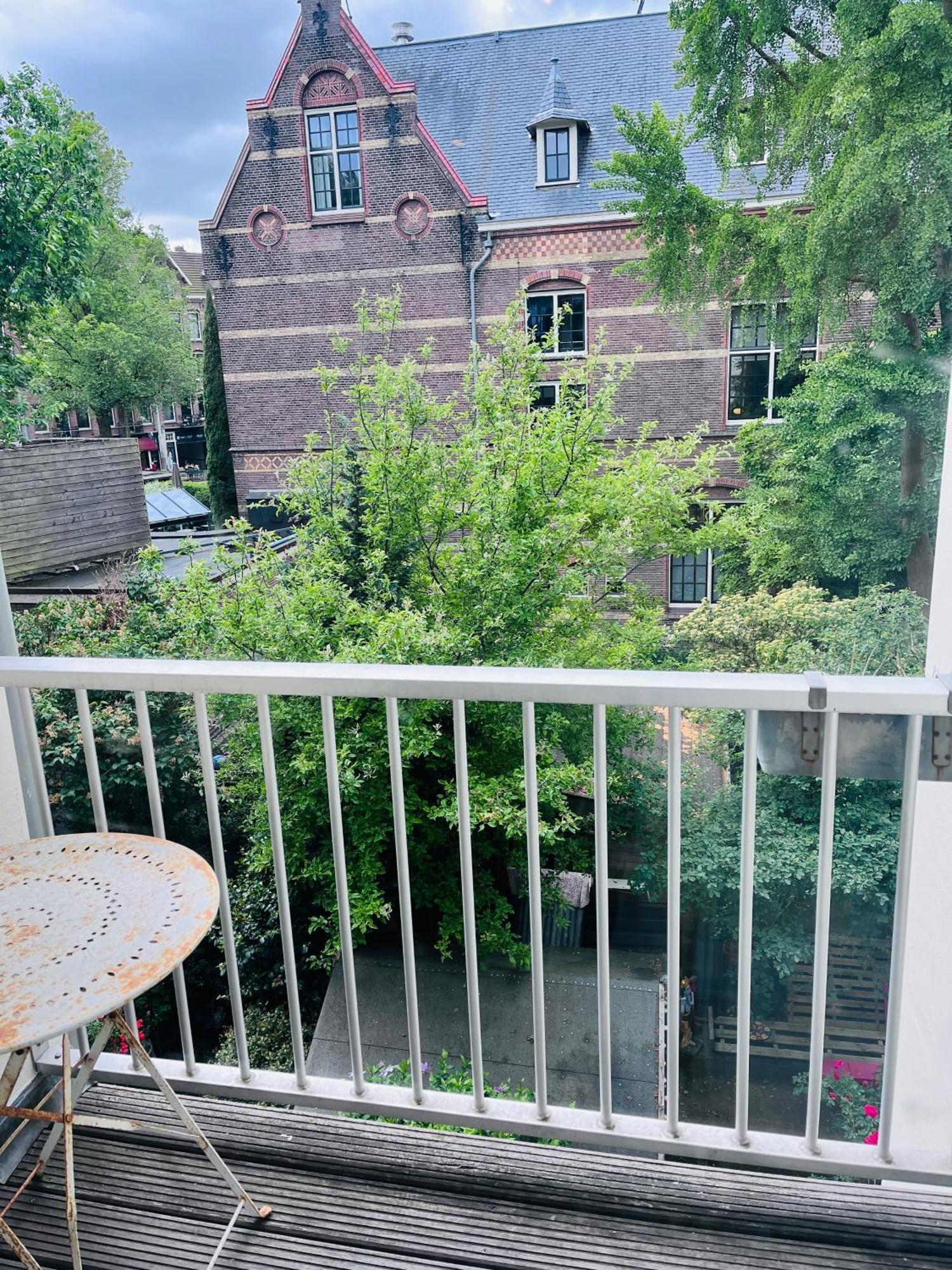 Cozy Museum Area
