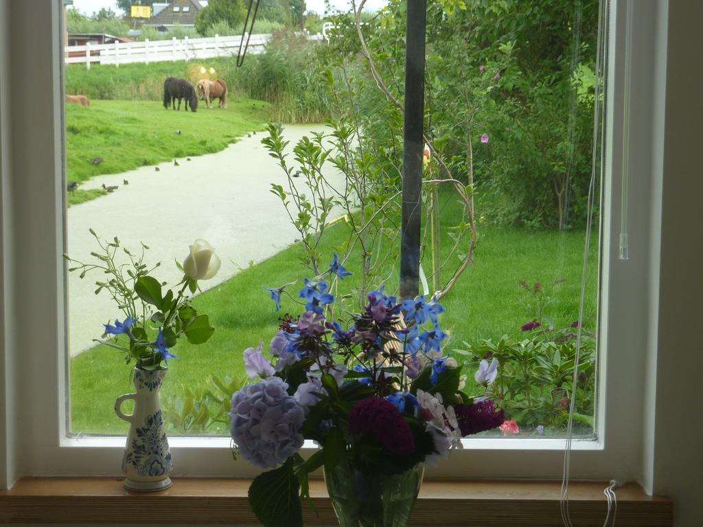 B&B Bloom