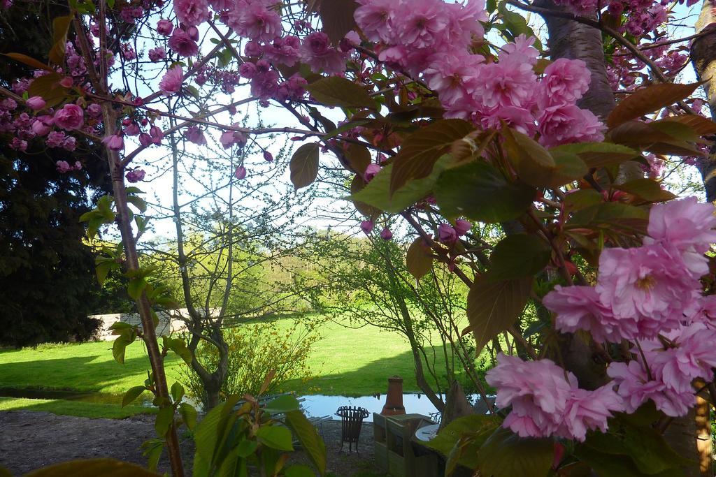 B&B Bloom Bed & Breakfast