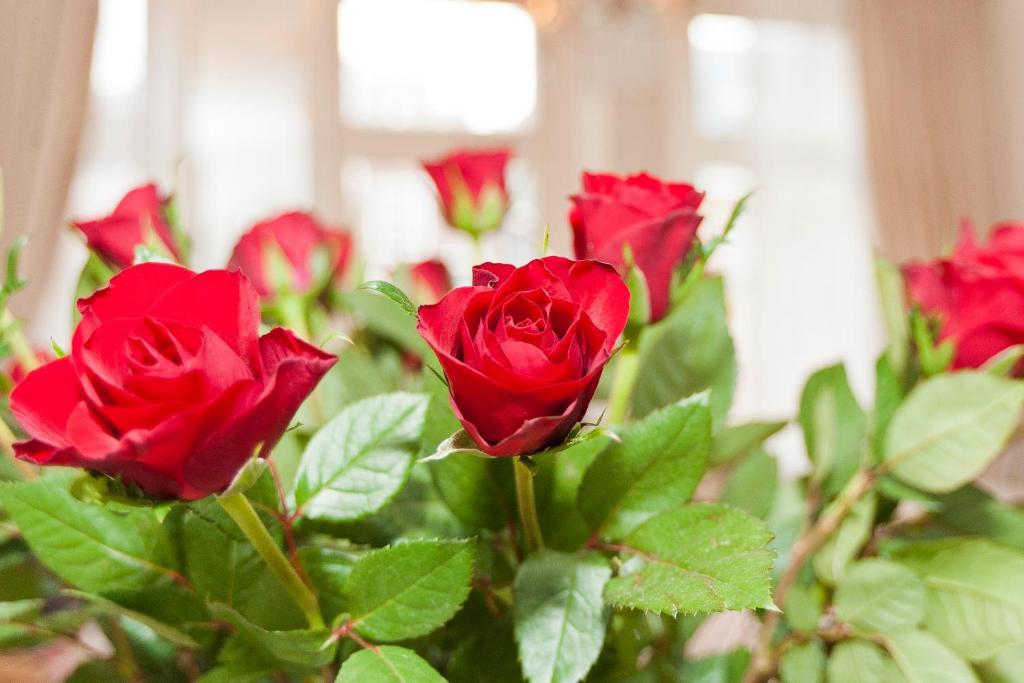 La Vie En Rose Centre Amsterdam