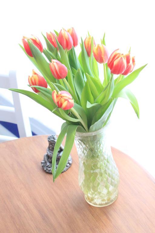 Couette-café Tulip Of 3*