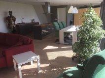 Landelijk Vakantiehuis * Amsterdam
