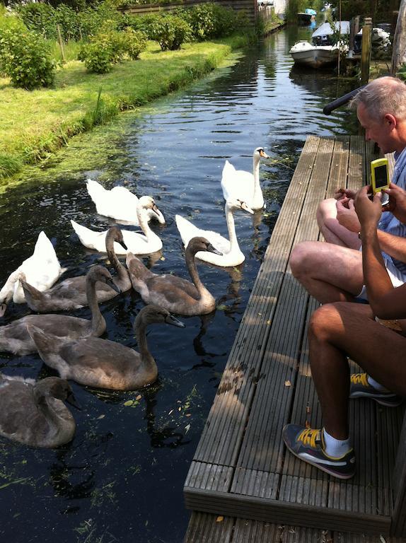 Amsterzonian Bed & Breakfast *