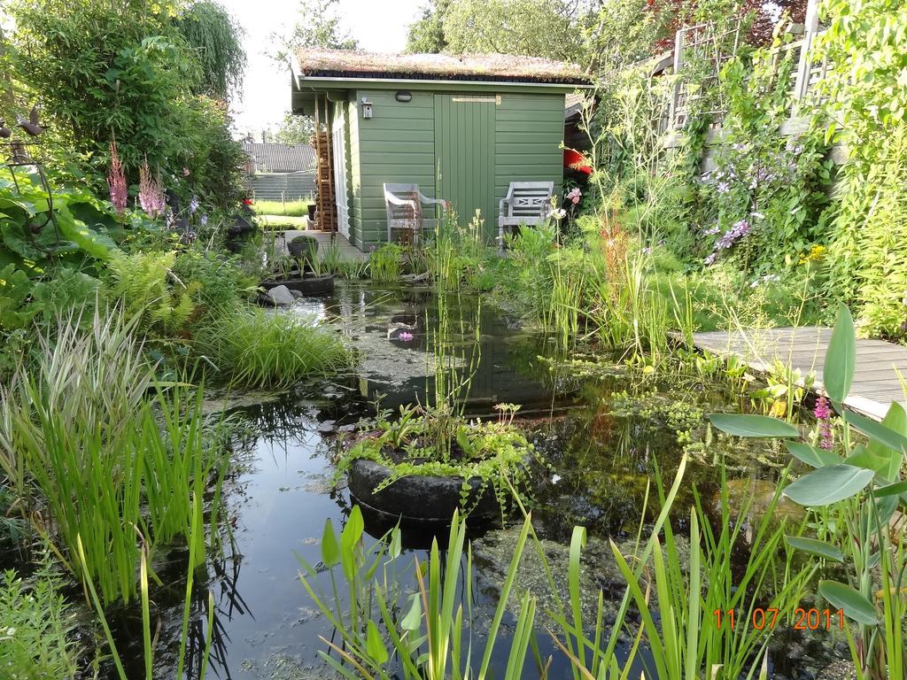Bed & Breakfast Amsterzonian Amsterdam