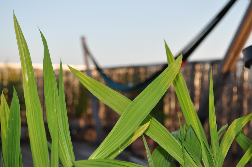 Rooftop Amsterdam