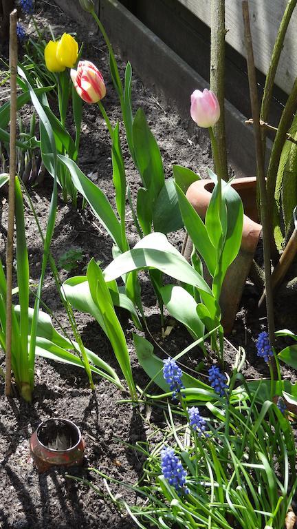 Frühstückspension De Noordeling