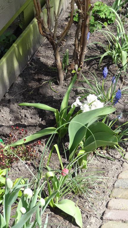 Frühstückspension De Noordeling