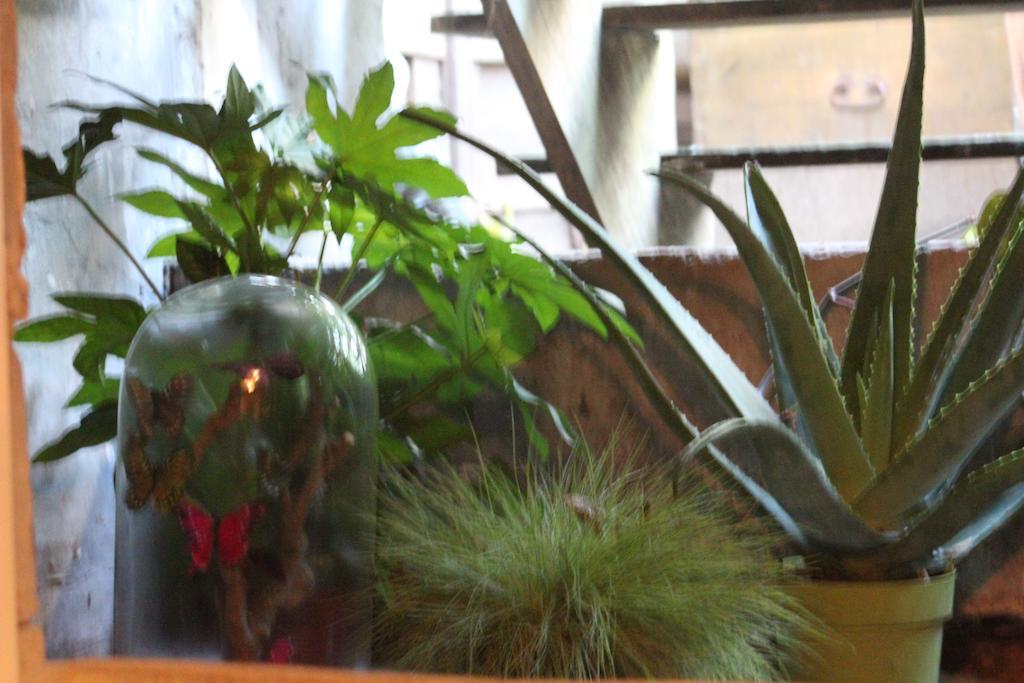 Couette-café Petit Paris