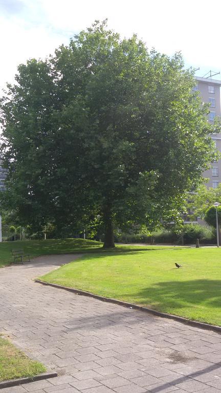 With Garden, Zuid/rai/wtc