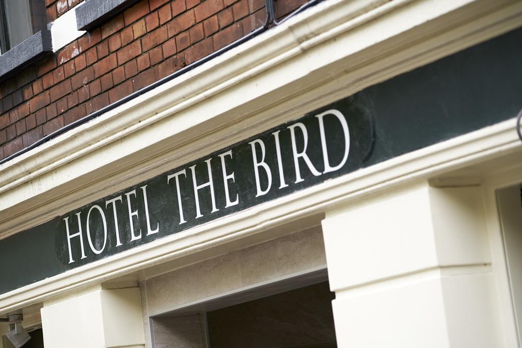 The Bird Amsterdam