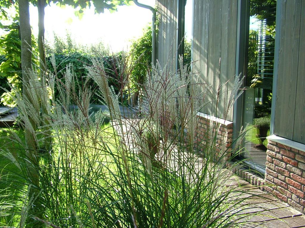 De Greenhouse Séjour chez l'habitant *