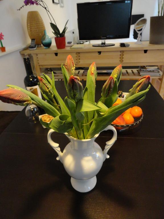 Appartement Amphora *