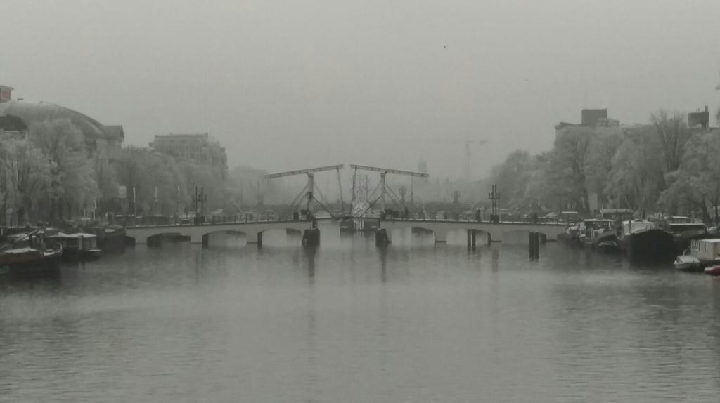Gasthuis The Vanguard Secret *