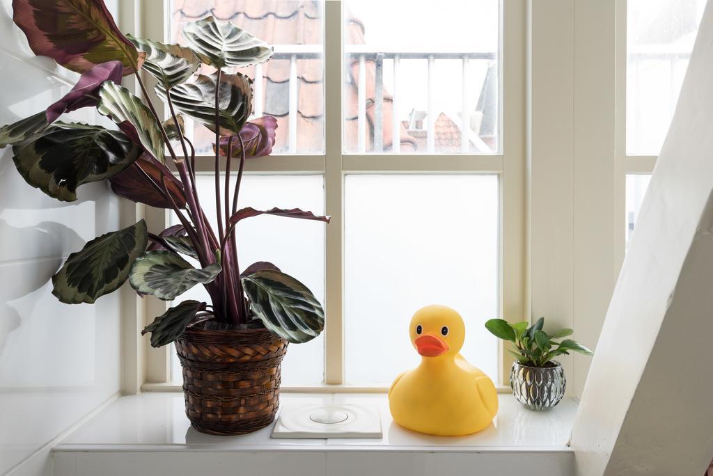 Accommodatie bij particulieren Rembrandt Studio's Amsterdam