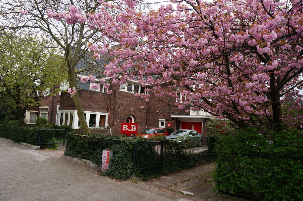 Bed & Breakfast Xaviera's