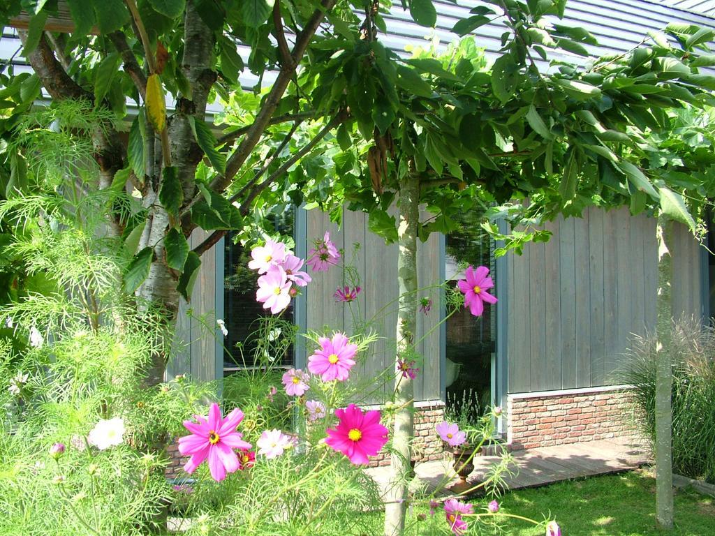 De Greenhouse Séjour chez l'habitant *
