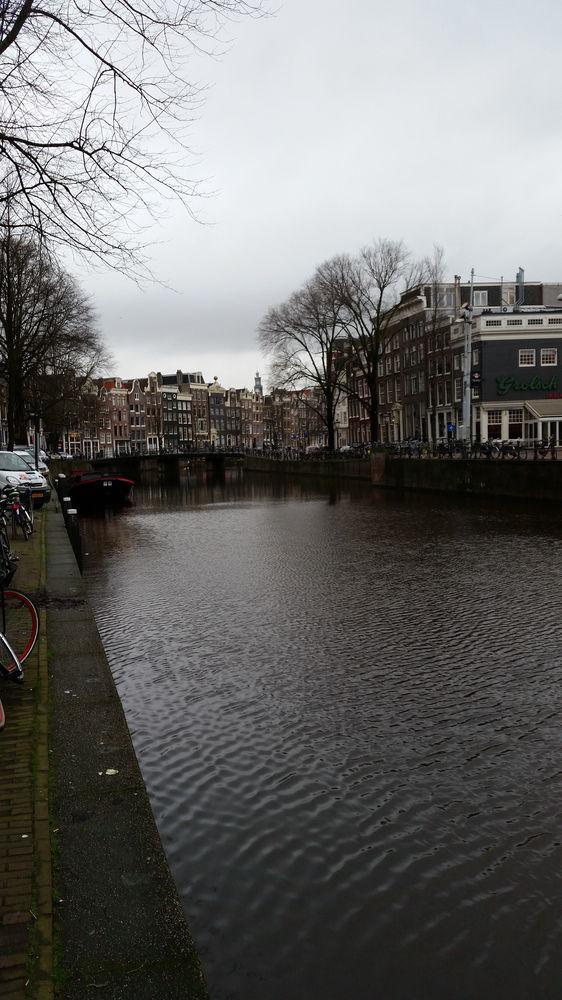 Flower Market Amsterdam
