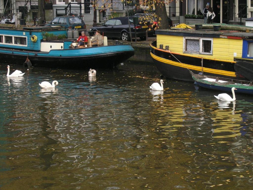 Singel 100 Bed and breakfast *