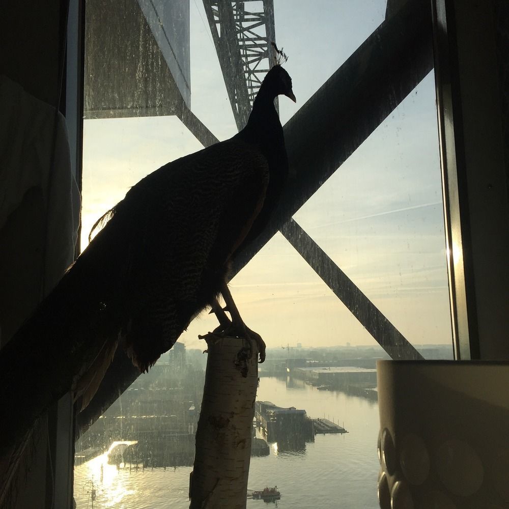 Crane Faralda Hotel