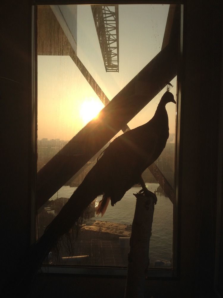 Hotel Crane Faralda